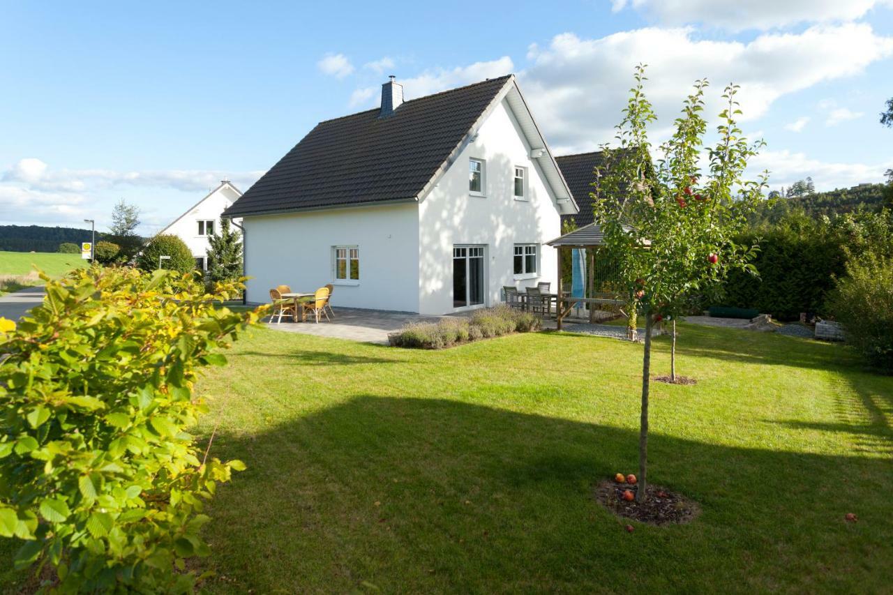 Villa Meisen Medebach Extérieur photo
